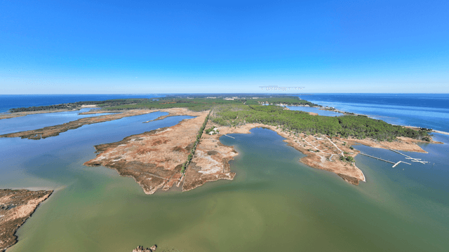 Sea Level Rise Explorer cover image