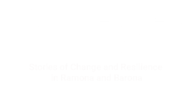 Connected Lands logo image